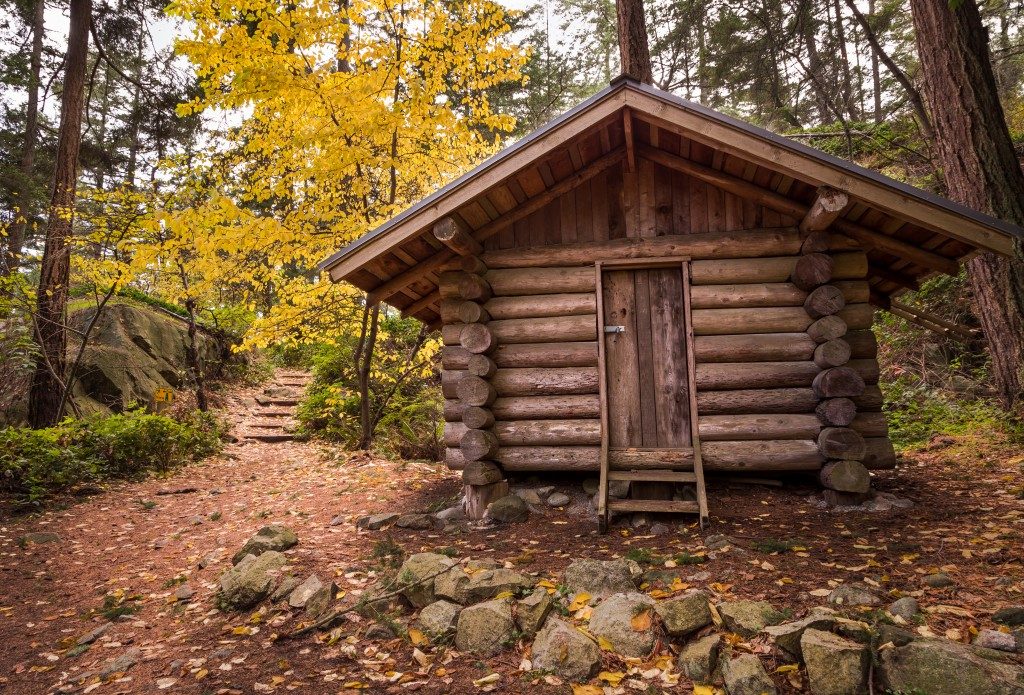 Log cabin in a forest in the fall